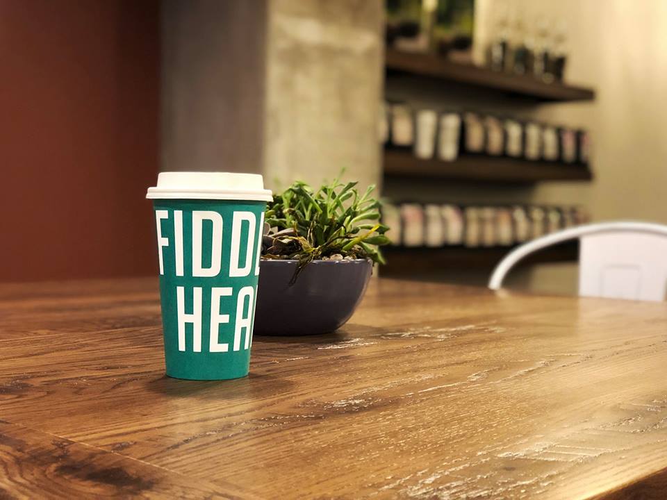 fiddleheads in grafton